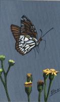 Fragile Wings 5 - Acrylic Paintings - By Diane Deason, Realistic Painting Artist