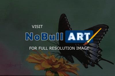 Naturewildlife - Fragile Wings 6 - Acrylic