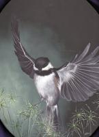 In The Shadow Of His Wings - Acrylic Paintings - By Diane Deason, Realistic Painting Artist