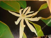 Asian Jasmine With Green Leaves - Acrylic Paintings - By Isabel Bhambra, Modern Painting Artist