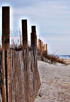 Protect Our Beaches - Digital Photography - By Chirleen Evans, Waterscapes Photography Artist