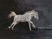 Animals - Escape The Dark - Oil On Canvas Board