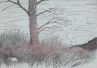 Wind - Ink On Paper Drawings - By Jonas Alin, Symbolism Drawing Artist