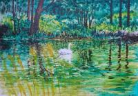 Acrylic Paintings - Alone In The Lake - Acrylics