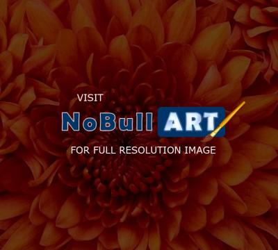 Photography - Flower Detail - Digital Photo