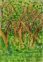 Bosco Di Trezzolano - Water Color Paintings - By Virginia -, Expressionist Painting Artist