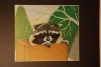 35 - Raccoon  Squatter - Colored Pencil
