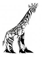 Giraffe - Pen And Ink Drawings - By Edra Zook, Whimsical Drawing Artist