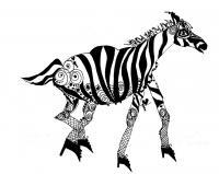 Ink Drawings - Zebra - Pen And Ink