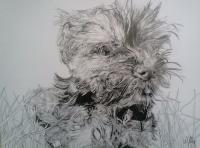 Little Betty - Ink And Graphite Drawings - By Martin Day, Black And White Drawing Artist