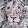 The Lion - Uni Pin Fine Line Drawing Pens Drawings - By Martin Day, Black And White Drawing Artist