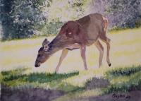 Afternoon Snack - Watercolor Paintings - By Gaylen Whiteman, Representational Painting Artist