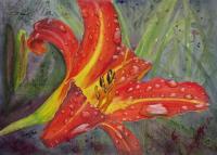 Daylily Reflections - Watercolor Paintings - By Gaylen Whiteman, Impressionistic Realism Painting Artist