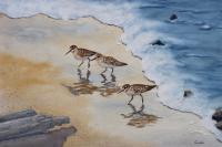 Sandpiper Shuffle - Watercolor Paintings - By Gaylen Whiteman, Impressionistic Realism Painting Artist