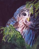 Bashful Barred - Watercolor Paintings - By Gaylen Whiteman, Impressionistic Realism Painting Artist