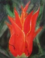 Wildfire - Watercolor Paintings - By Gaylen Whiteman, Representational Painting Artist