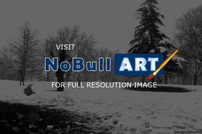 Under Snow Ball - Photography - D3100