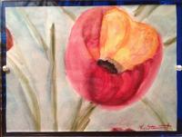 Poppy - Watercolor Paintings - By Kelly Stewart, Experimenting With Watercolor Painting Artist