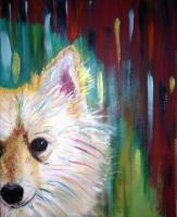 Animal Expressions - A Pomeranian Sold - Acrylic