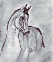 Drawing Collection - Horse - Pencil And Paper