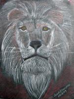 Lion Portrait Painting - Mixed Media Paintings - By Janet Marston, Realism Painting Artist
