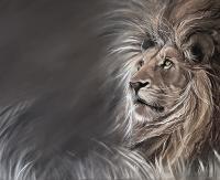 Lion - Pastel Drawings - By Darya Patseshchanka, Animal Art Drawing Artist