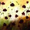 Untamed Poppies - Acrylic On Canvas Paintings - By Khanh Ha, Abstract Painting Artist