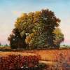 Quite Ripe Wheat - Oil Paintings - By Dusan Vukovic, Realism Painting Artist