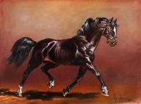 Stallion - Oil Paintings - By S   O   L   D S   O   L   D, Realism Painting Artist
