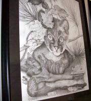 Callow - Pencil Drawings - By Bryce Baker, High Detail Drawing Artist