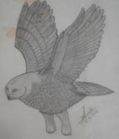 Predator - Paper Drawings - By Sangeetha Prasad, Pencil Sketch Drawing Artist