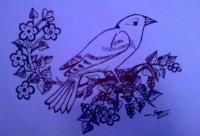 A Bird In Wait - Paper Drawings - By Sangeetha Prasad, Marker Sketch Drawing Artist