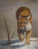 Bobcat - Oil On Canvas Paintings - By Future Art, Realism Painting Artist