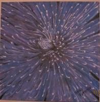 Flowers - Fireworks - Acrylics