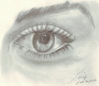 Eye - Pencil  Paper Drawings - By Berine Thompson, Black  White Drawing Artist