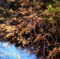 Autumn Leaves And Stream - Camera_Computer Digital - By Jim Pavelle, Digital Realism Digital Artist