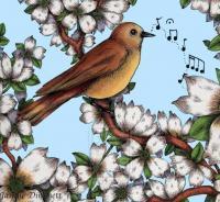Bird In Tree - Marker Drawings - By Janelle Dimmett, Illustration Drawing Artist