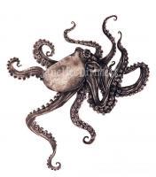 Octopus - Graphite Drawings - By Janelle Dimmett, Illustration Drawing Artist
