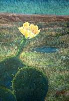 Prickly Pear - Oil Pastels Paintings - By John Mccullough, Post Impressionism Painting Artist