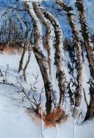 Trees In Winter - Watercolor On Rice Paper Paintings - By Theresa Van Eck, Realistic Painting Artist