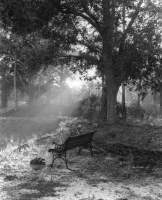 Morning Fog - Medium Format Photography - By Robert Thompson, Black  White Photography Artist