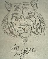 Tiger - Pencil Drawings - By Davian Story, Random Drawing Artist