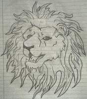 African Lion - Pencil Drawings - By Davian Story, Random Drawing Artist
