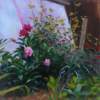 Peonies - Oil On Canvas Paintings - By Susan Orfant, Contemporary Realism Painting Artist