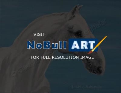 Oil Painting On Canvas - Lippizan Horse Portrait - Oil Colour On Canvas