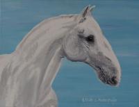 Lippizan Horse Portrait - Oil Colour On Canvas Paintings - By Claudia Luethi Alias Abdelghafar, Realistic Painting Artist