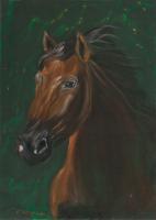 Horse Portrait On Green Velvet - Oil Colour On Velvet Paintings - By Claudia Luethi Alias Abdelghafar, Realistic Painting Artist