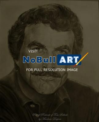 Celebrity Portraits - Tom Selleck - Pencil