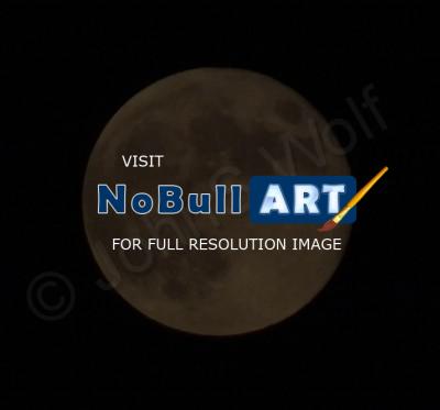 Photographs - June Moon - Digital