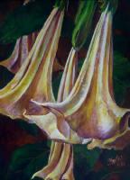 Portland Trumpet Vine - Acrylic Paintings - By Anita Dewitt, Floral Paintings Painting Artist